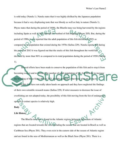 Bluefin Tuna on the Edge of Extinction