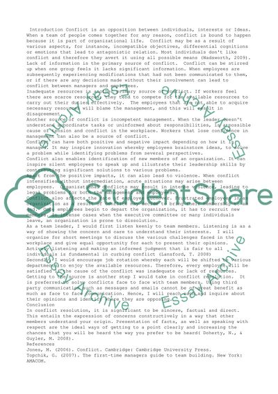 Managing Conflicts in the Company