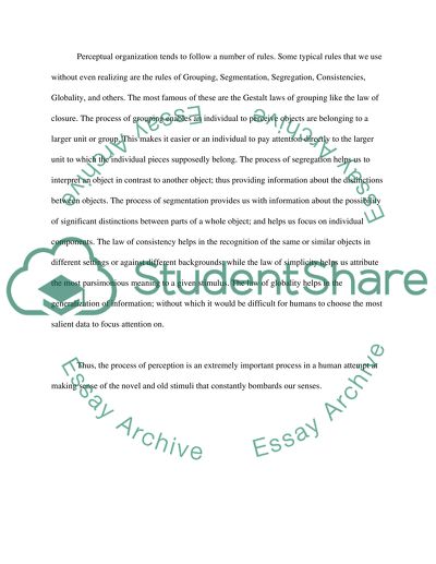 Perception as the Process of Becoming Aware of and Understanding the Environment