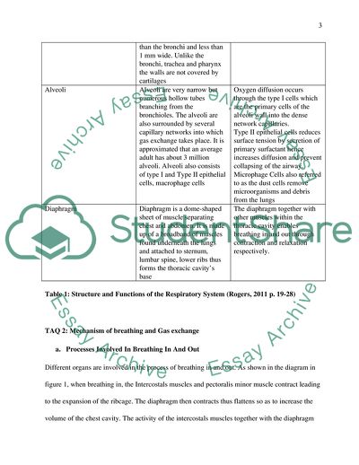 Gas Exchange and Transport