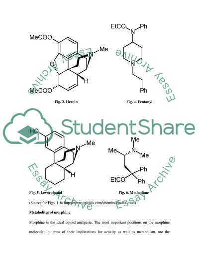 Molecular and Biochemical Mechanisms of Analgesic Response to Morphine and Other Opioids