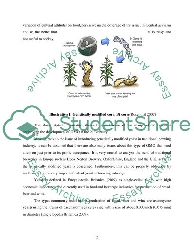 The Use of GM Yeast in the Brewing Industry