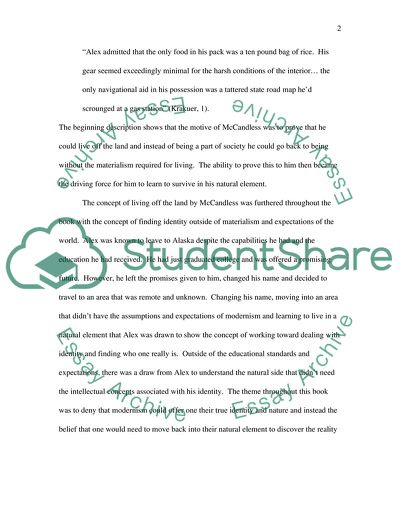 Natural Elements of into the Wild