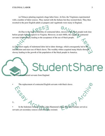 Colonial Labor worksheet