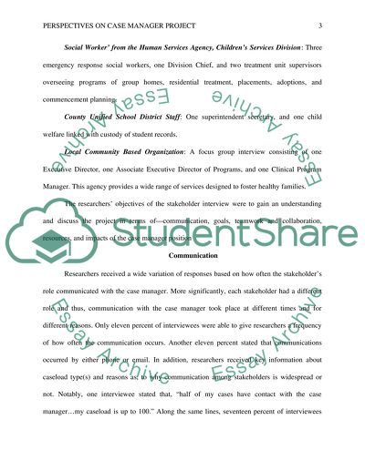 Perspectives on Case Manager Project