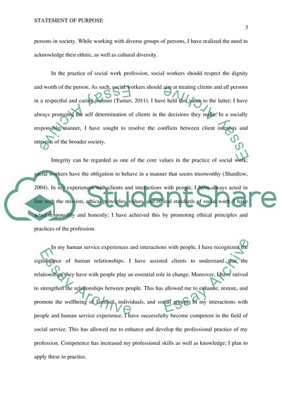 The Social Work Profession