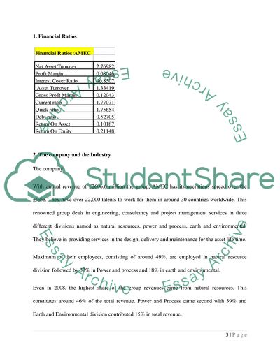 AMEC Company Description