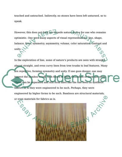 Theory of the Derive