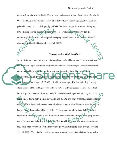 Use of Landmarks in Skull of Dog (Canis familiaris) for Neuronavigation