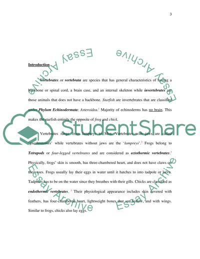 The Archetype as Illustrated in Development