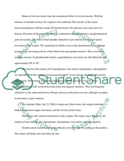 Definitions of Rotator Cuff Tears