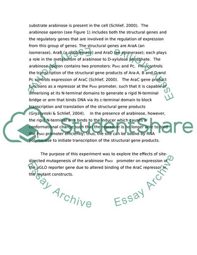 Mutagenesis of an Arabinose Inducible Promoter