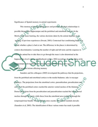 What is the role of the perirhinal cortex in memory