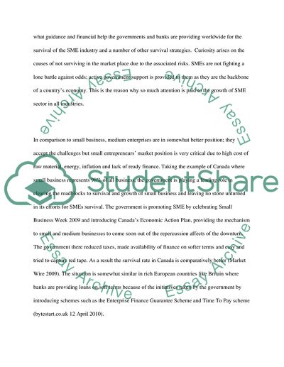 SMEs Survival in the Highly Competitive Industries