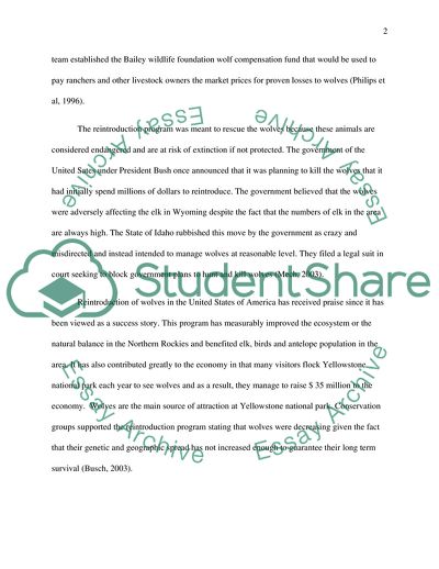 Beautiful Nature of Yellowstone National Park