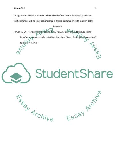 Future Fossils: Plastic Stone