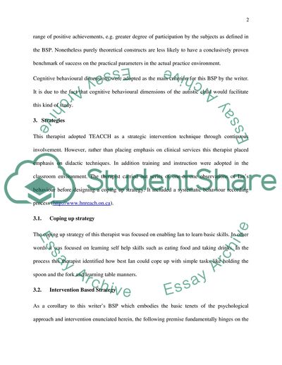 Behavior Support Program