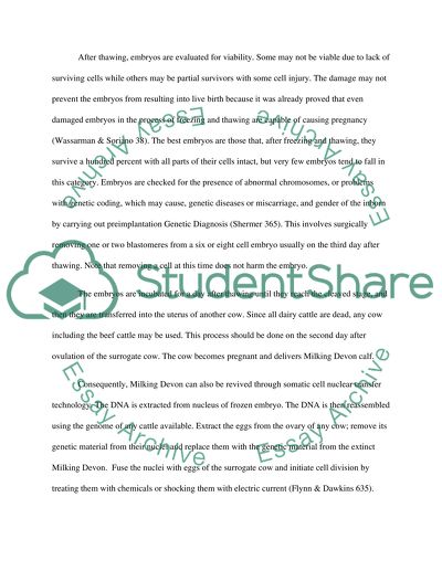 Reviving the Milking Devon