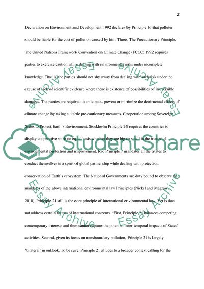 2010 Gulf Oil Spill: An Examination in Regard to International Environmental Law