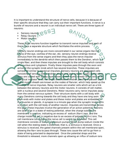 Hormones and Nerve Questions