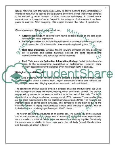 Neural Network Peculiarities