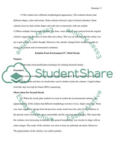 Isolation from the Environment