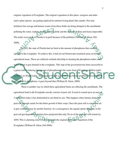 Restoration of the Everglades