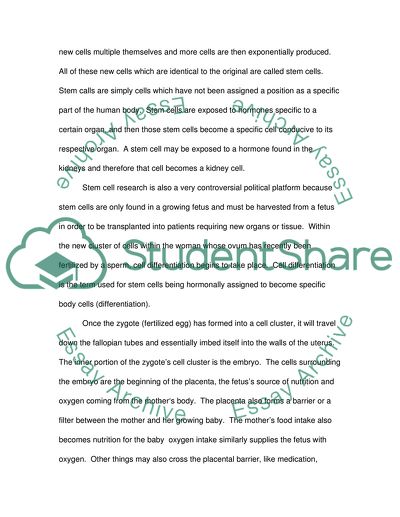 A View of the World Changes Someones Mind About Abortion