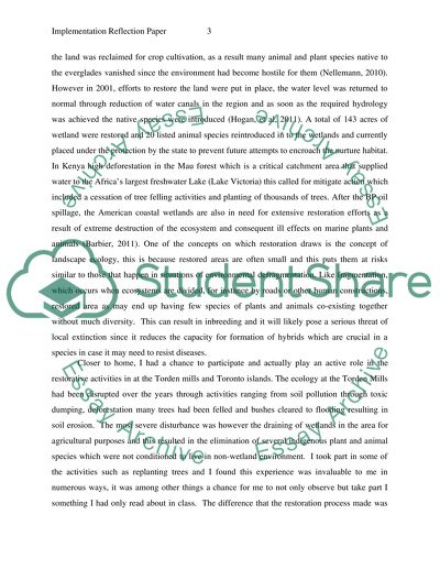 Implementation reflection paper