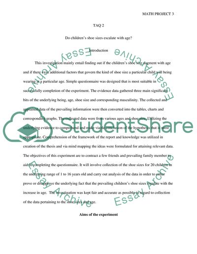 Assessment Criteria for Maths Project