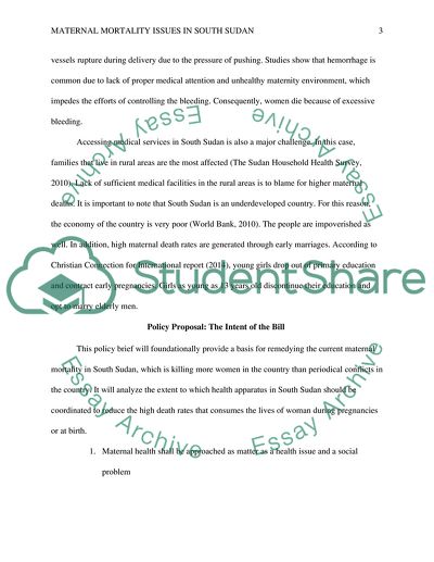 Global Health Policy (choose a topic)