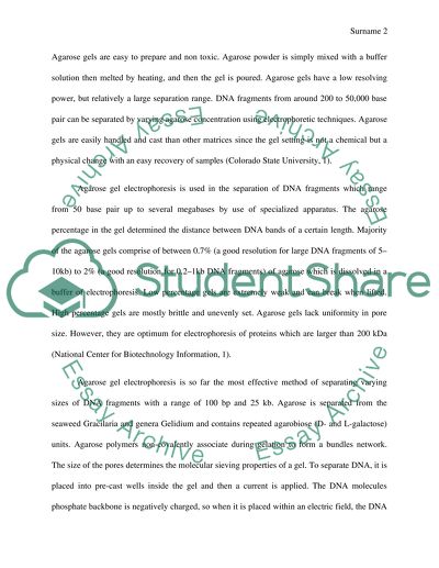 Agarose Gel Electrophoresis of DNA