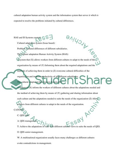 Modelling Human Activity Systems