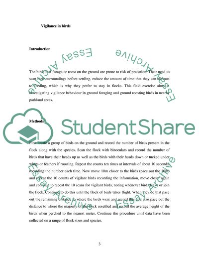 The Magpie Foraging and the Herbivory