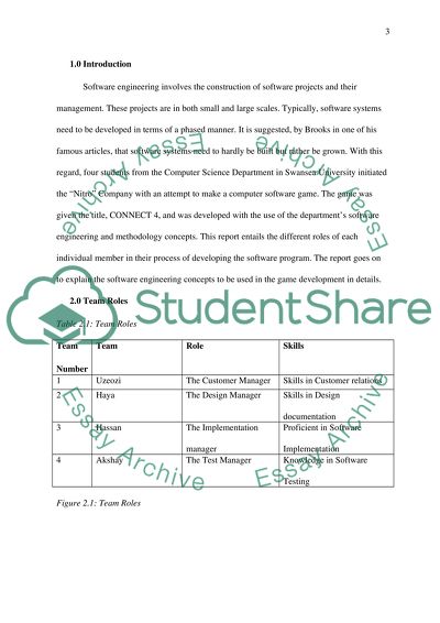 Roles of Each Individual Member in Their Process of Developing the Software Program