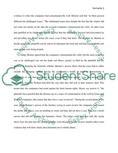 A civil action essay