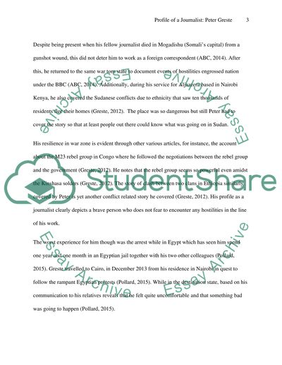 A Journalist Working in a Conflict or Risk-Related Area in National or International Context