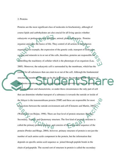 Difference between PM19-Containing and PM19-Absent Cell Lines
