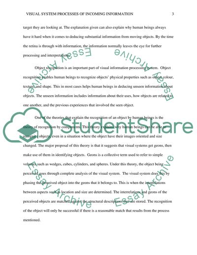 Visual System Processes of Incoming Information