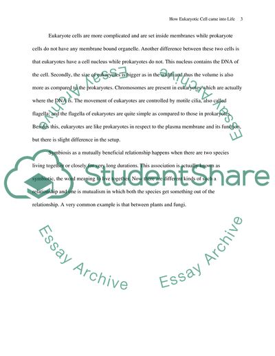 How Eukaryotic Cell came into Life