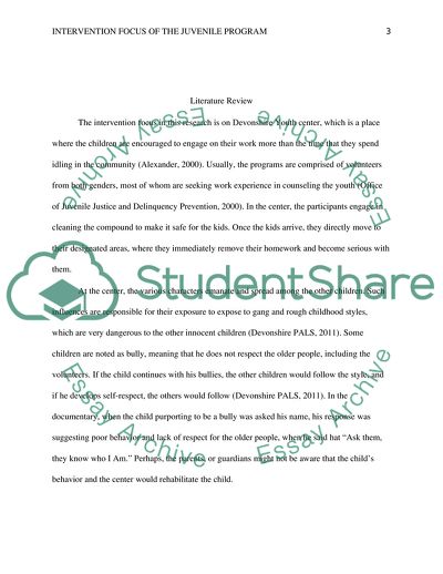 Intervention Focus of the Juvenile Program