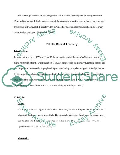 T Cell - B Cell Collaboration in the Immune Response to Infection