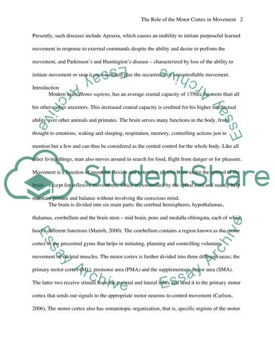 The Role of the Motor Cortex in Movement