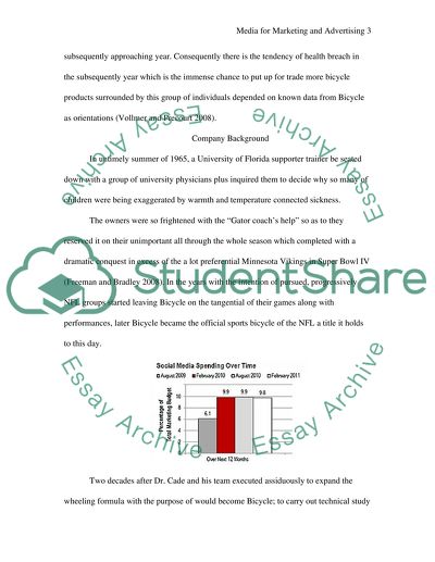 media and advertising essay