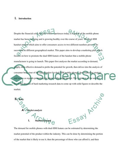 Evaluating Market Potential and Targeting Audience