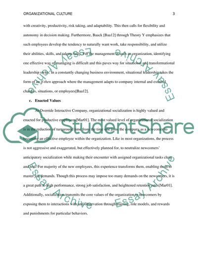 Organizational Culture Analysis - BUS / Organizational Behavior