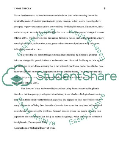 Theories of Crime Paper for Criminal Justice Class