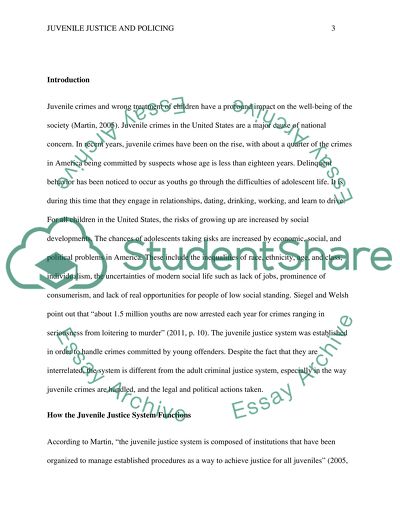 Essay on juvenile justice