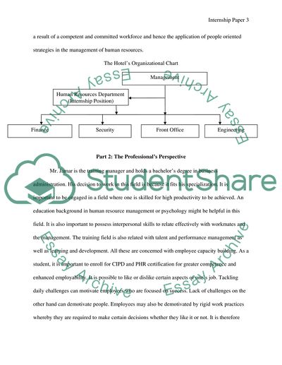 The Site, Environment, and Surroundings