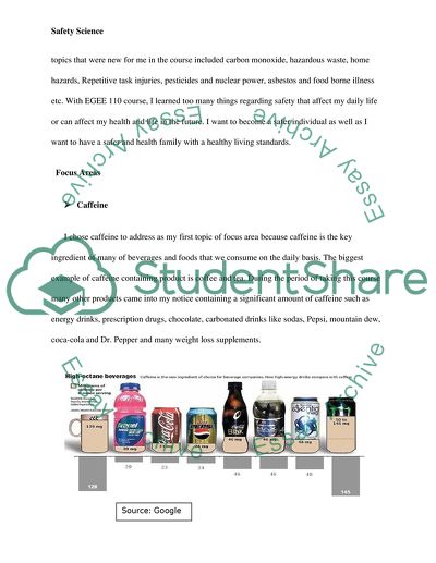 Project of Safety Science